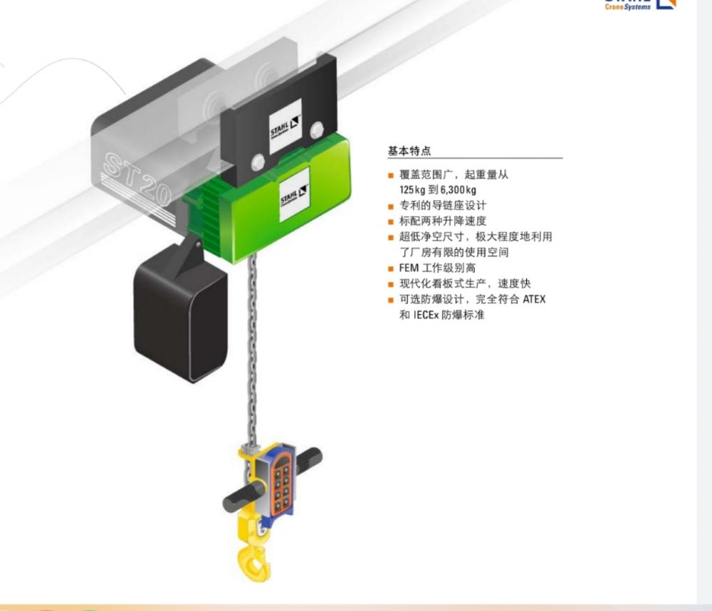 ST環(huán)鏈葫蘆         