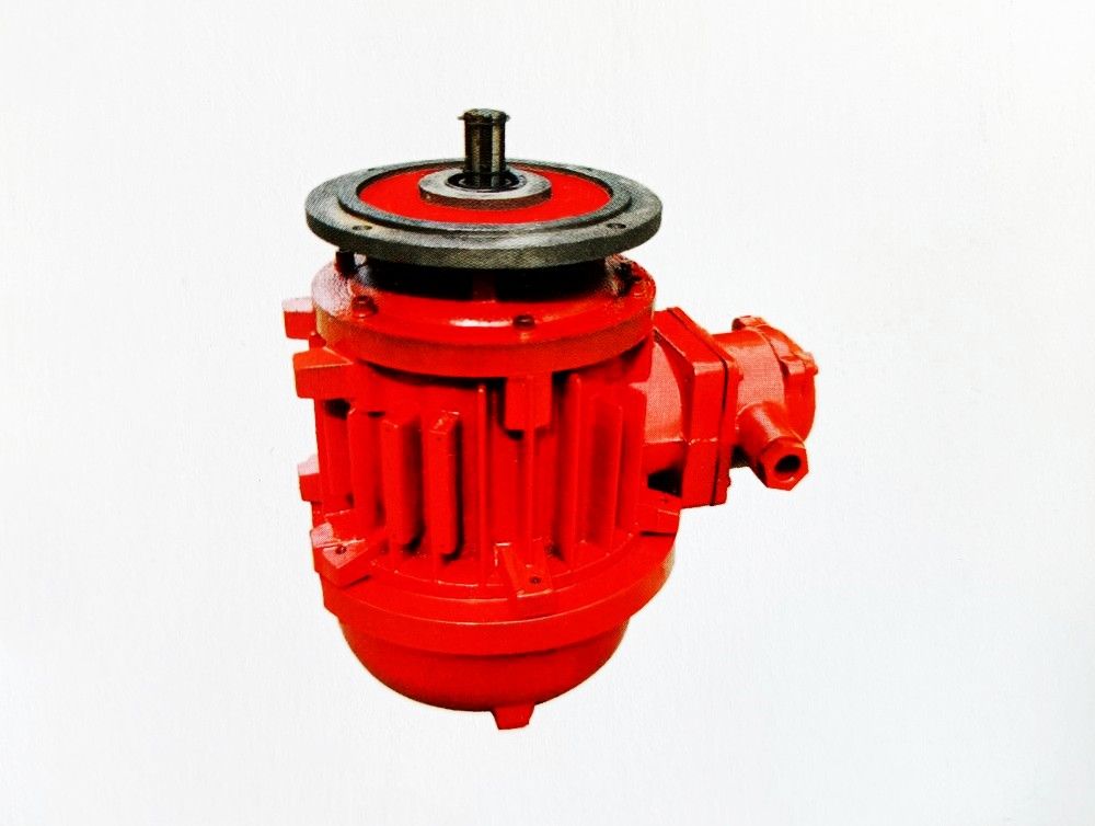 BZD/BZDY/BZDM隔爆型錐形轉(zhuǎn)子三相異步電動機