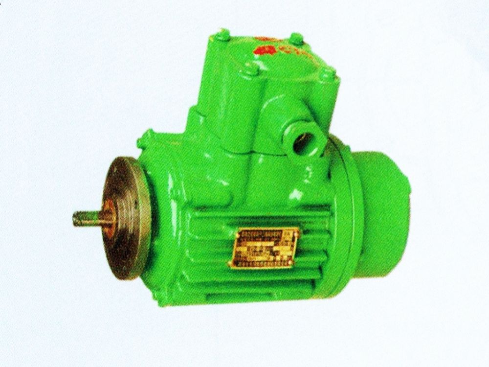 BZDY12/21/22-4隔爆型錐形轉(zhuǎn)子三相異步電動機(jī)(小盤)