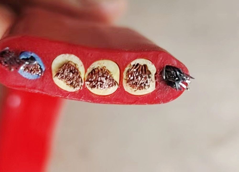 河北電纜線、河間電纜線、圓形扁形動力電纜廠家批發(fā)零售