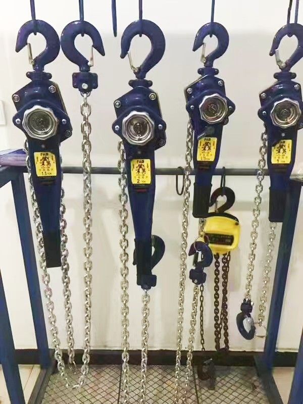 手動(dòng)葫蘆、手扳葫蘆、鏈?zhǔn)绞职夂J批發(fā)零售、價(jià)格優(yōu)惠