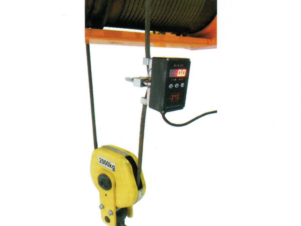 BCQ-DL電動(dòng)葫蘆起重量限制器.jpg